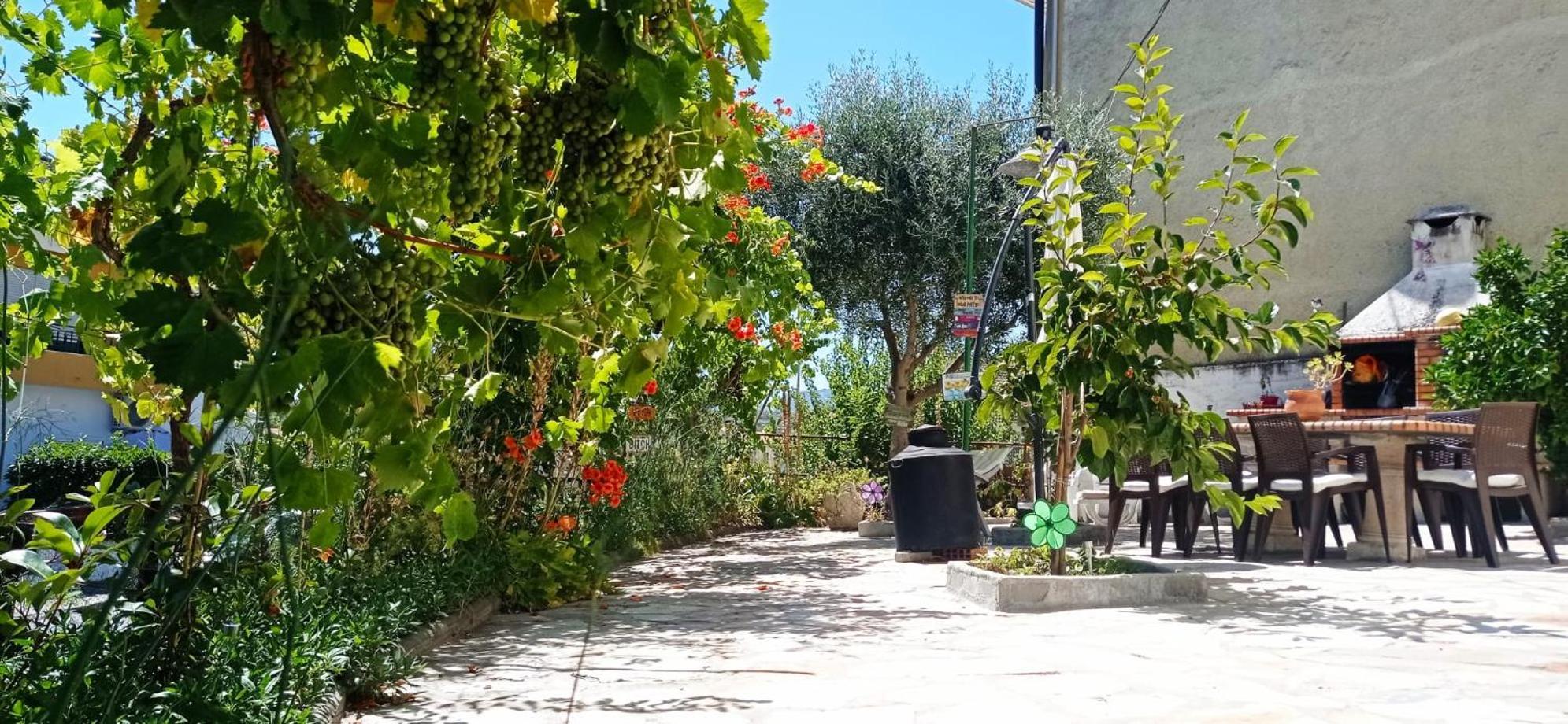 Alojamento Local Os Maias Mirandela Dış mekan fotoğraf