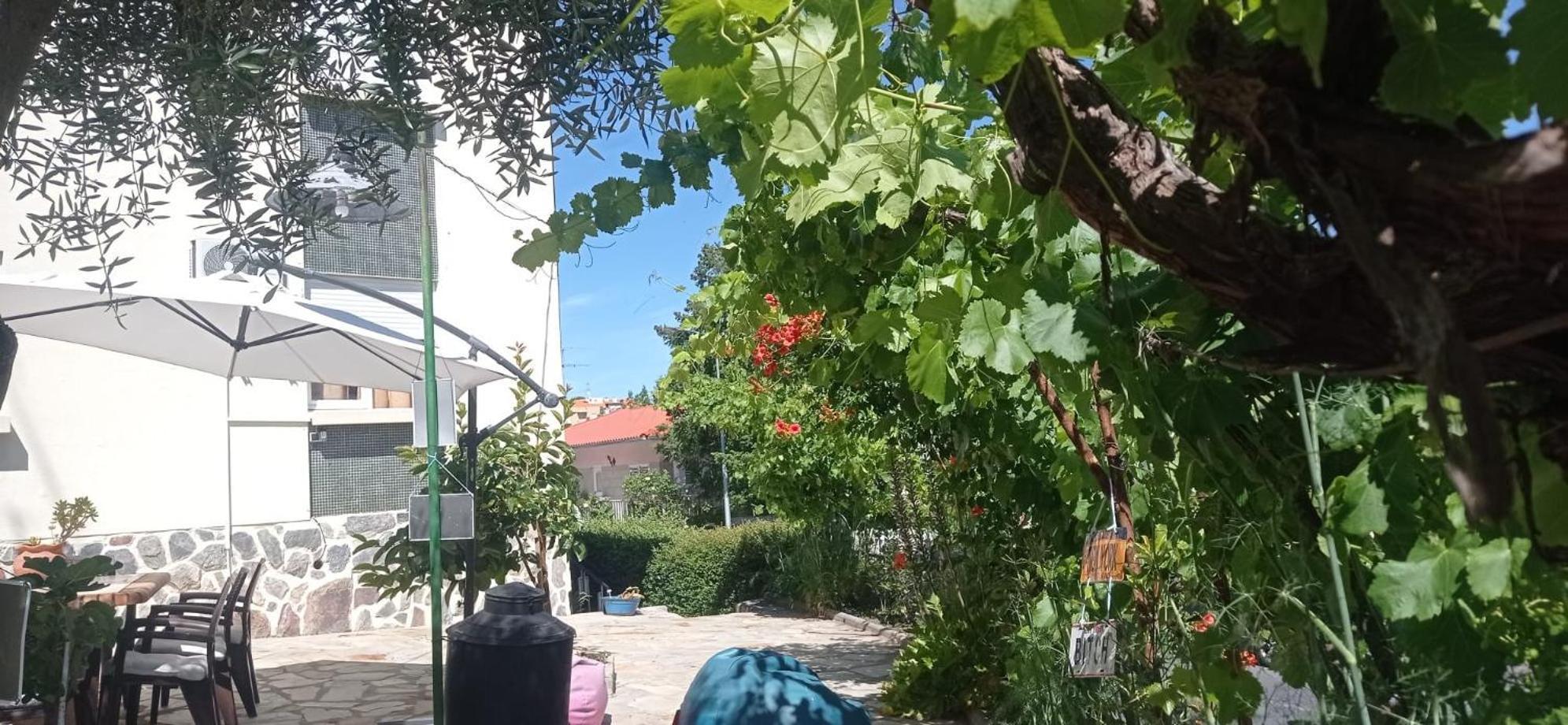 Alojamento Local Os Maias Mirandela Dış mekan fotoğraf