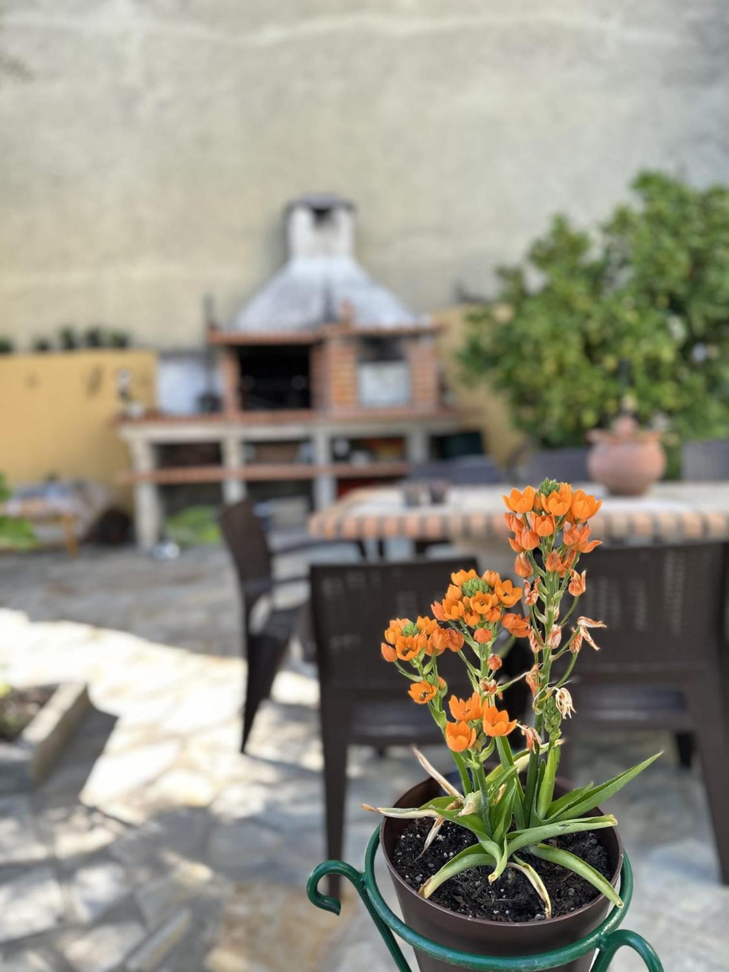 Alojamento Local Os Maias Mirandela Dış mekan fotoğraf